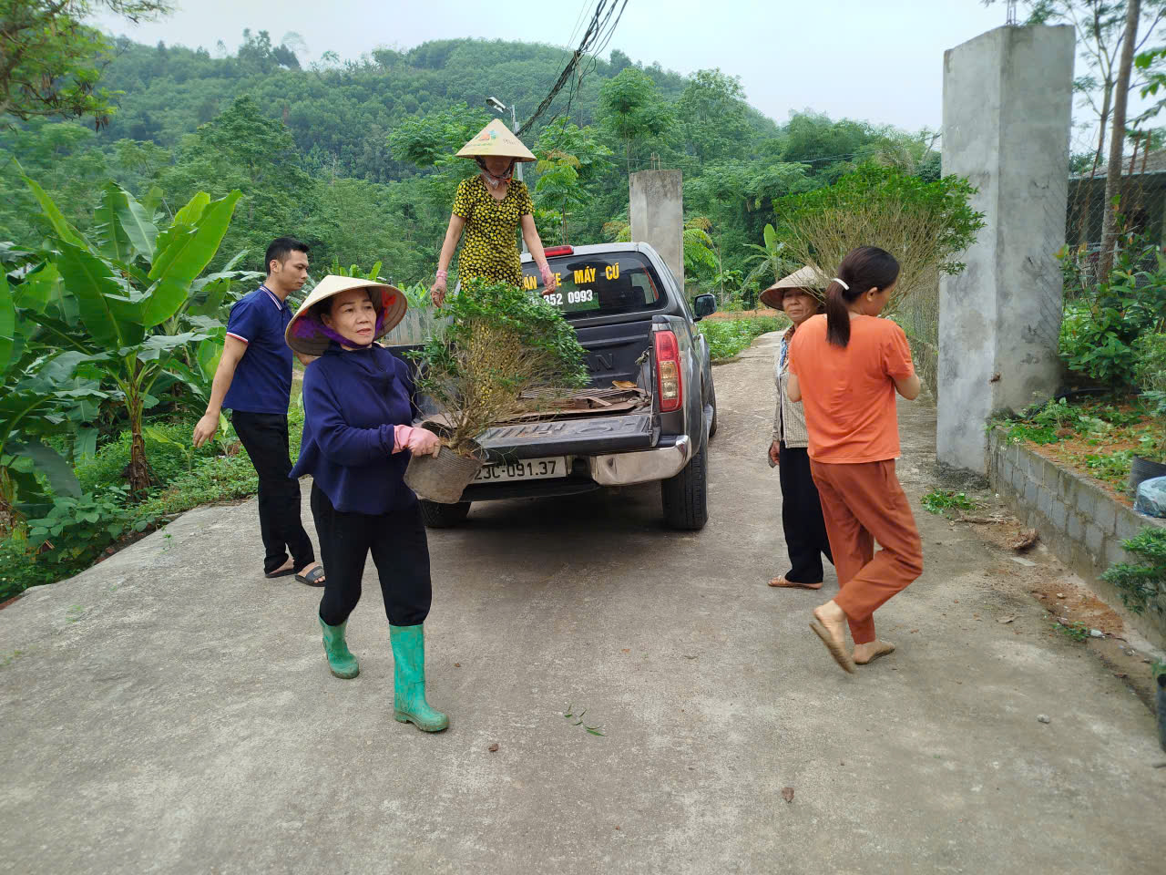 Chi hội Phụ nữ thôn Tân Long tổ chức lao động trồng hoa, làm đẹp tuyến đường nông thôn