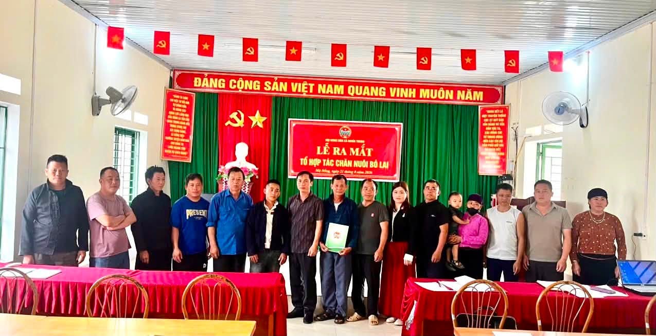 Hội nông dân xã Nghĩa Thuận ra mắt Tổ hợp tác chăn nuôi bò lai tại thôn Mã Hồng