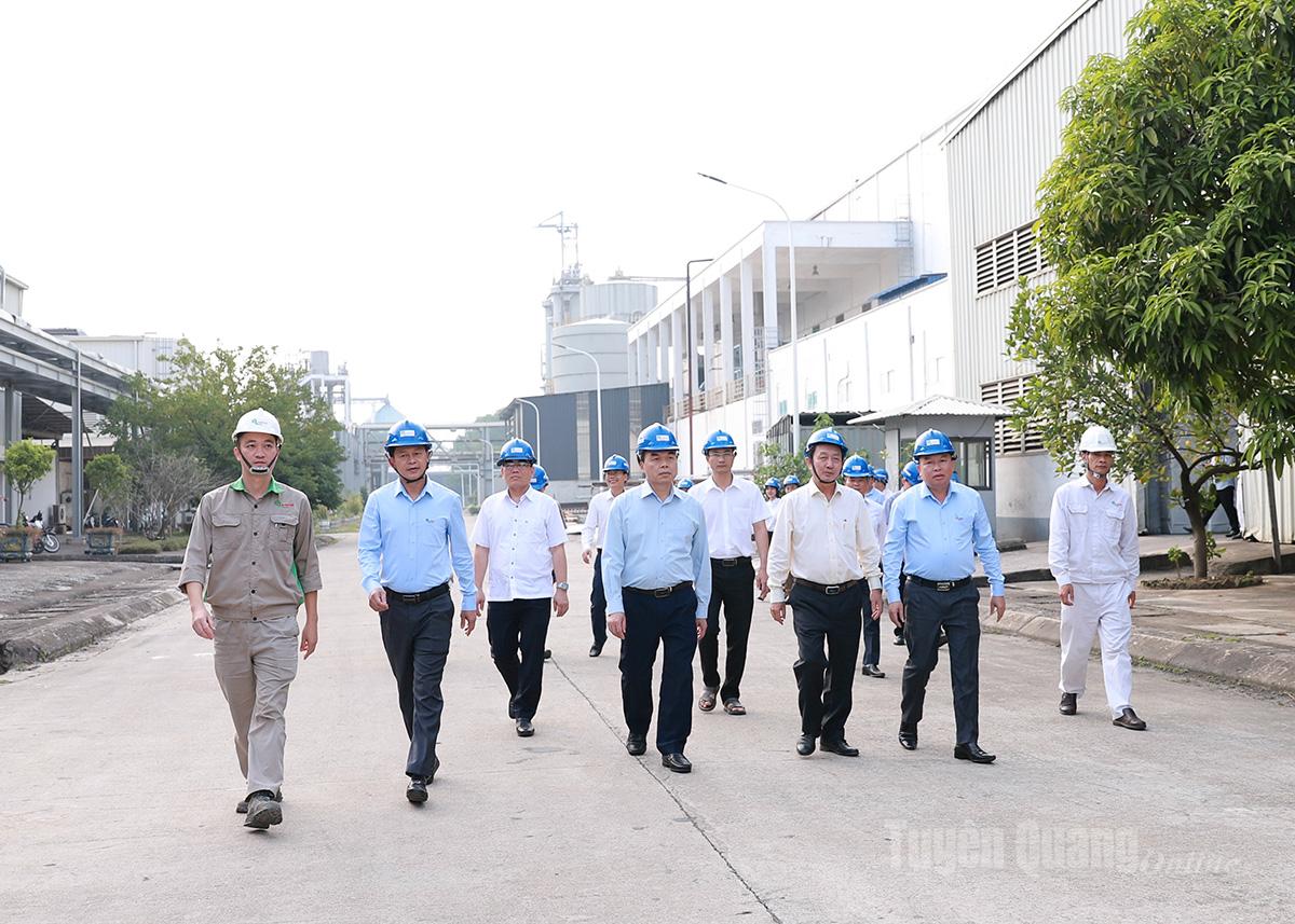 Đoàn công tác Ban Tuyên giáo và Dân vận Trung ương khảo sát tại Công ty Cổ phần giấy An Hòa