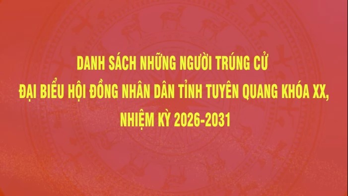 Danh sách những người trúng cử Đại biểu Hội đồng nhân dân tỉnh Tuyên Quang khóa XX, nhiệm kỳ 2026-2031