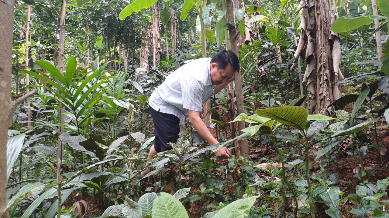 LÃNH ĐẠO ĐẢNG ỦY XÃ TIÊN YÊN KIỂM TRA CÁC MÔ HÌNH PHÁT TRIỂN KINH TẾ TRÊN ĐỊA BÀN XÃ