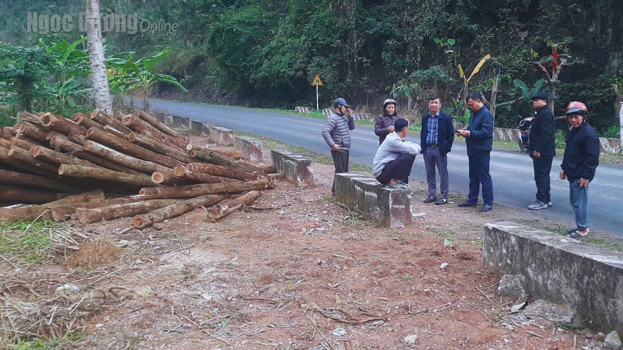 NGỌC ĐƯỜNG CHUẨN BỊ SẴN SÀNG CHO LỄ RA QUÂN "TẾT TRỒNG CÂY XUÂN BÍNH NGỌ 2026"