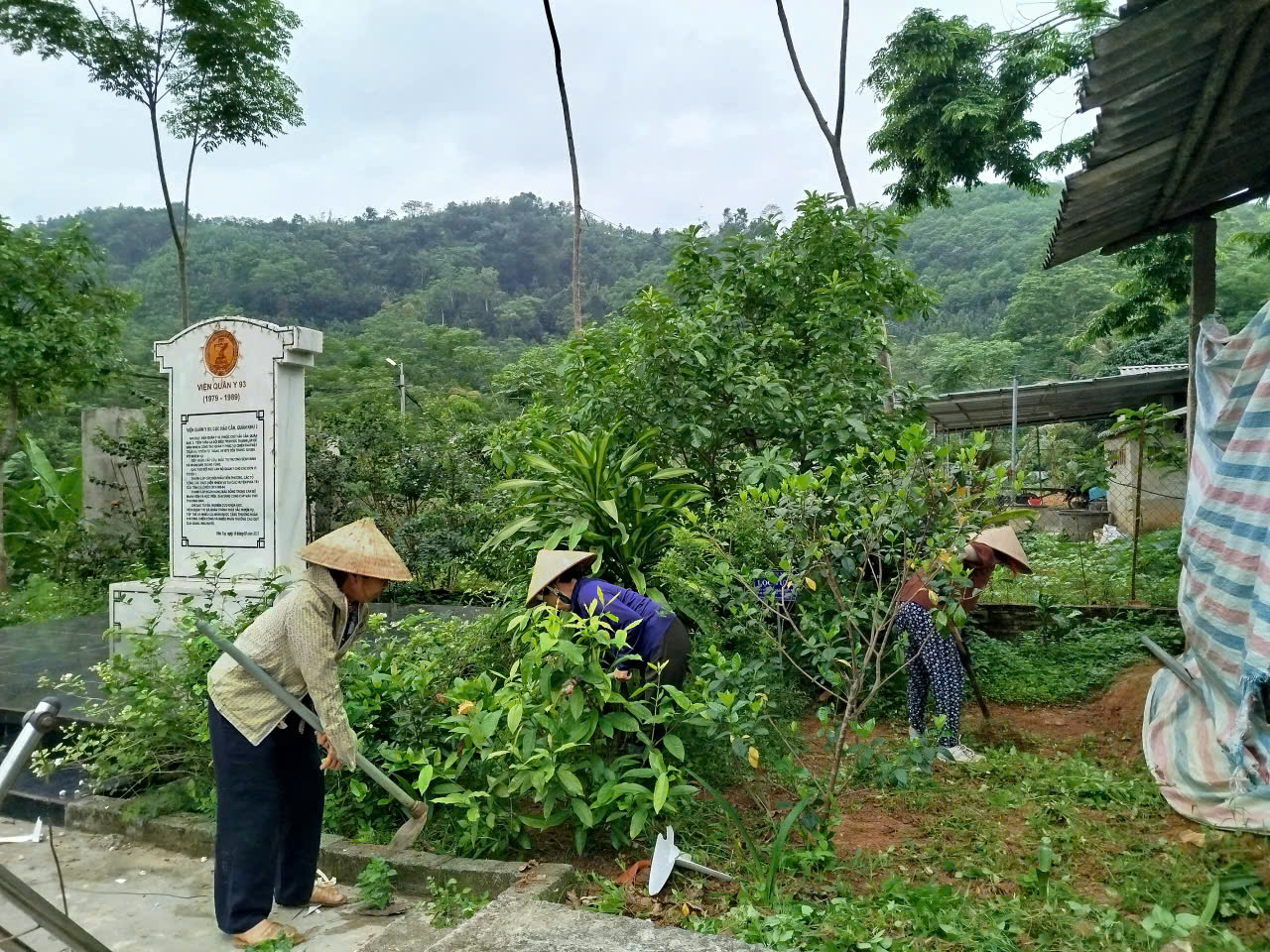 LĐ trồng hoa6.jpg