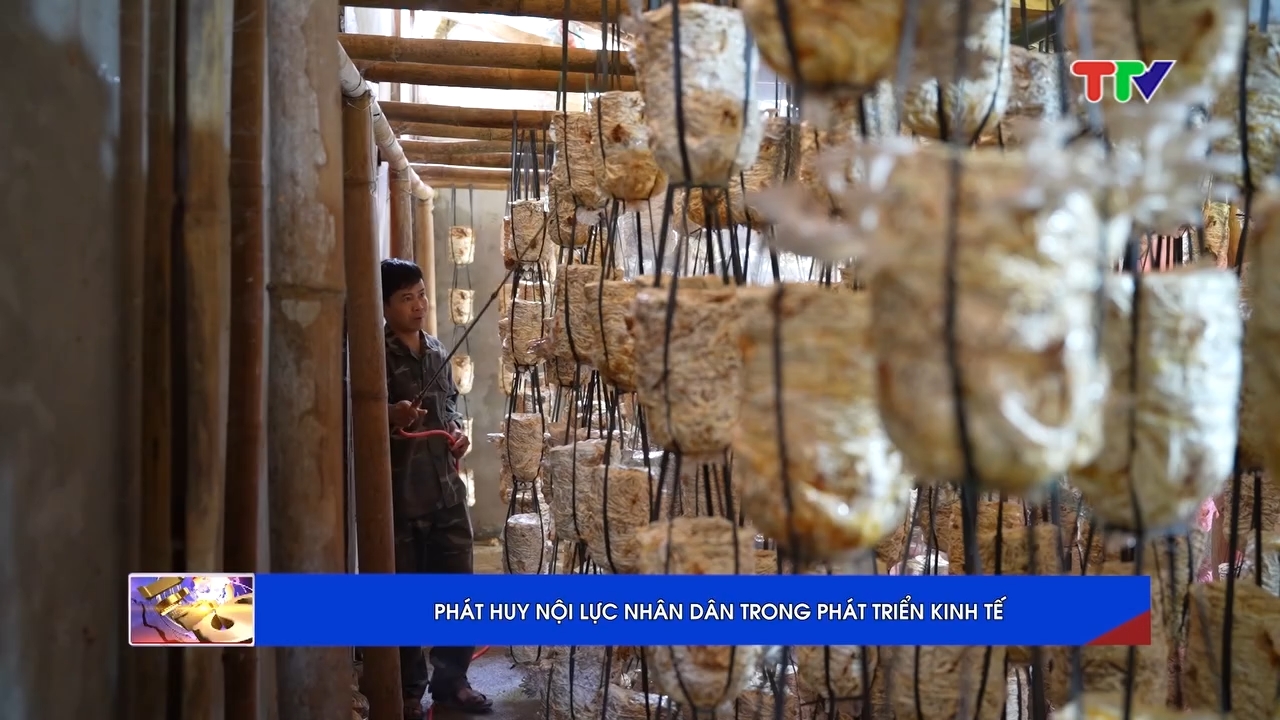 912b1ea317de39c44ac772c1070050d5