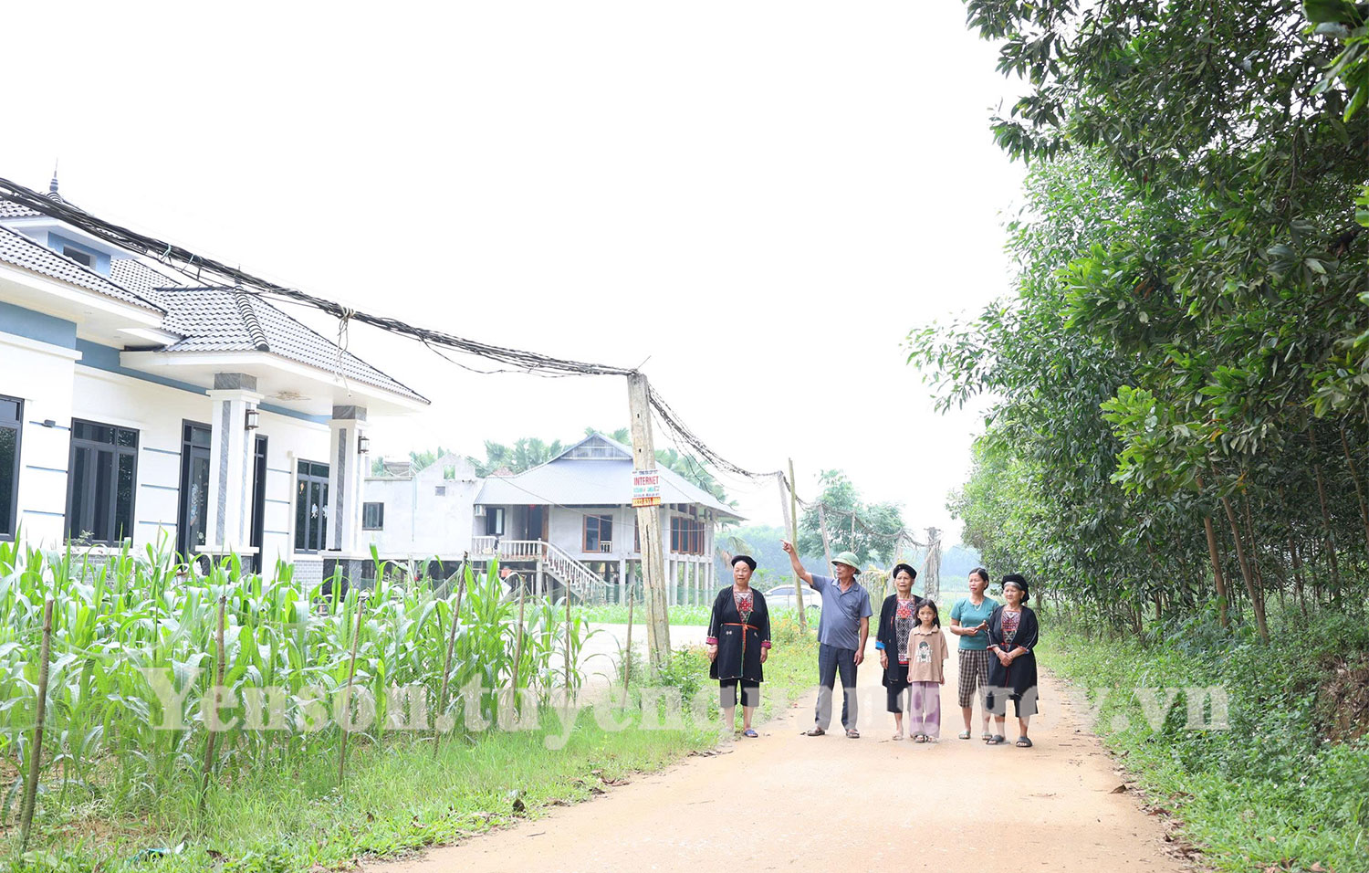 quang-cay-nhan2.jpg