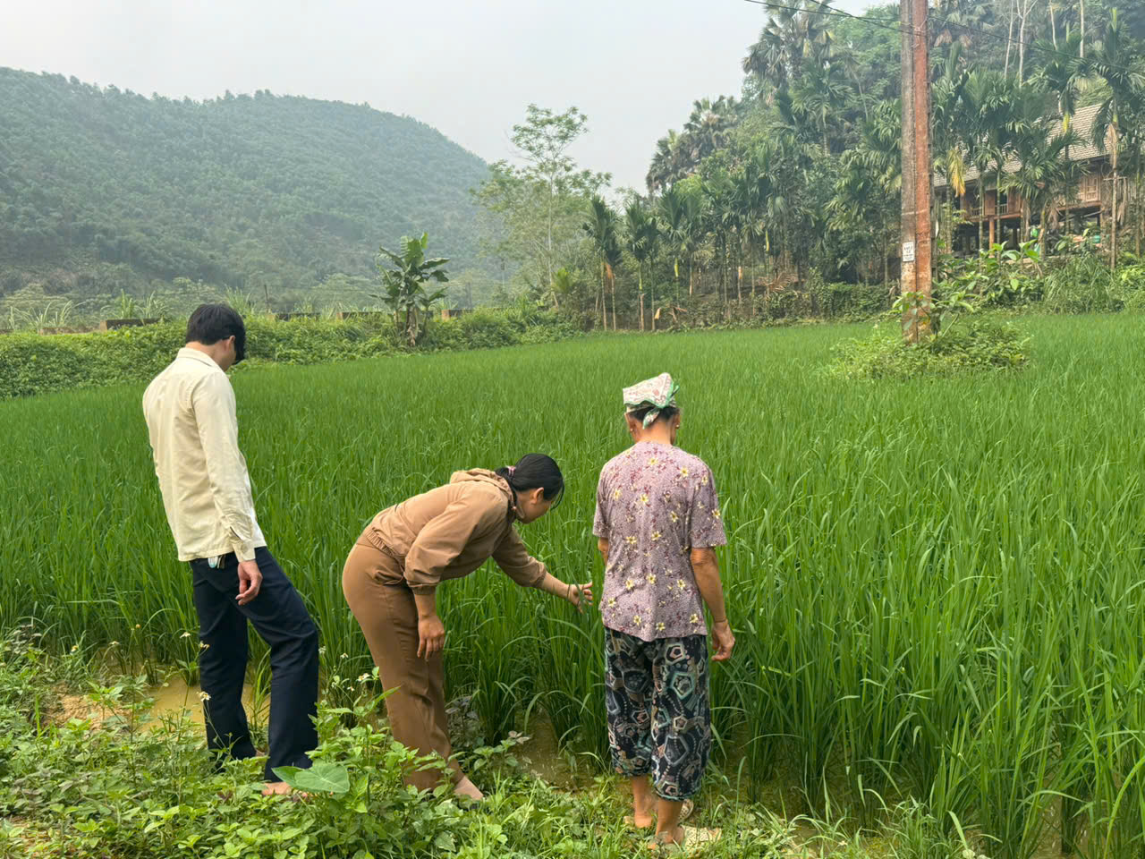 Ktra l&uacute;a,1.jpg