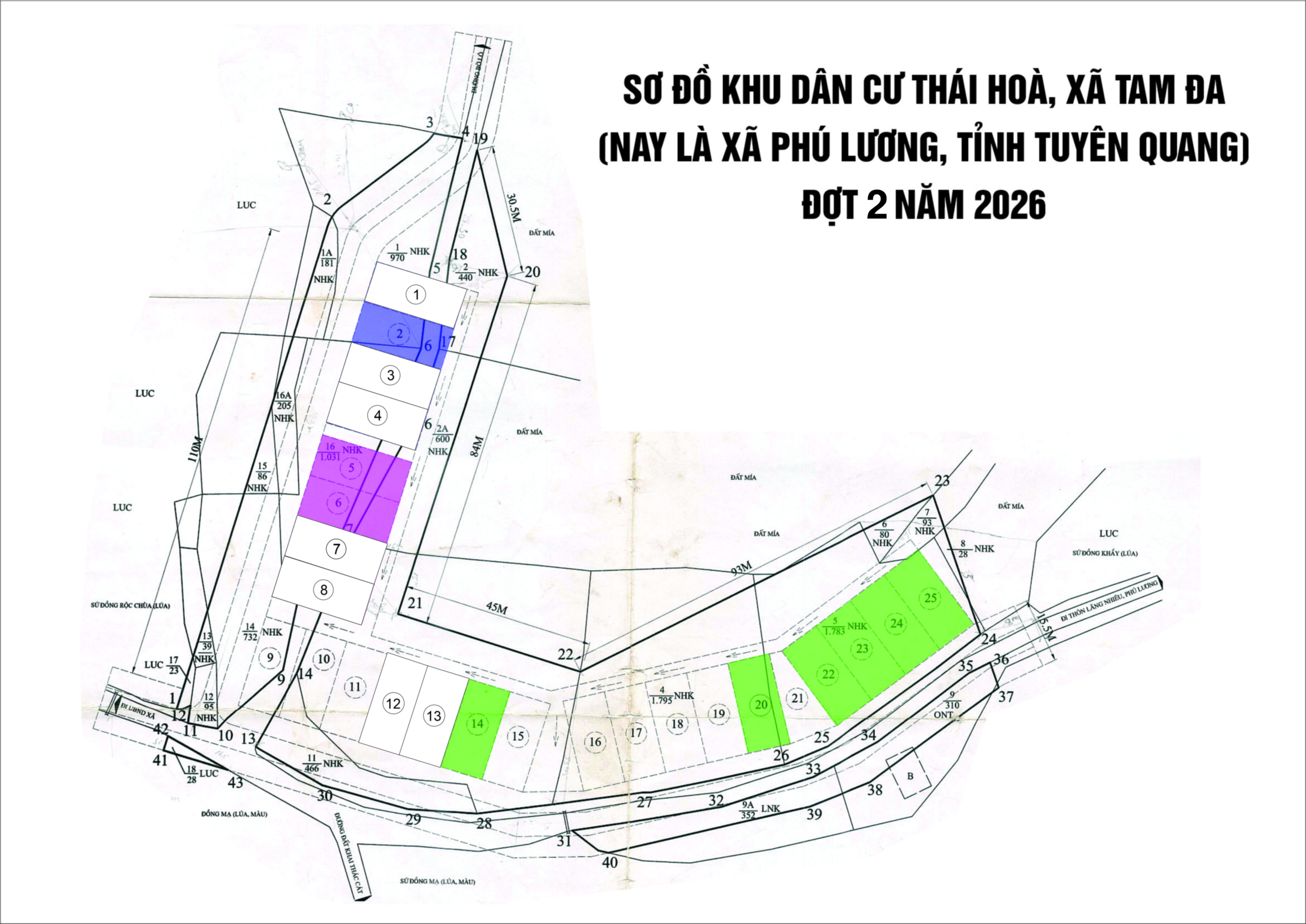 đấu gi&aacute;.jpg