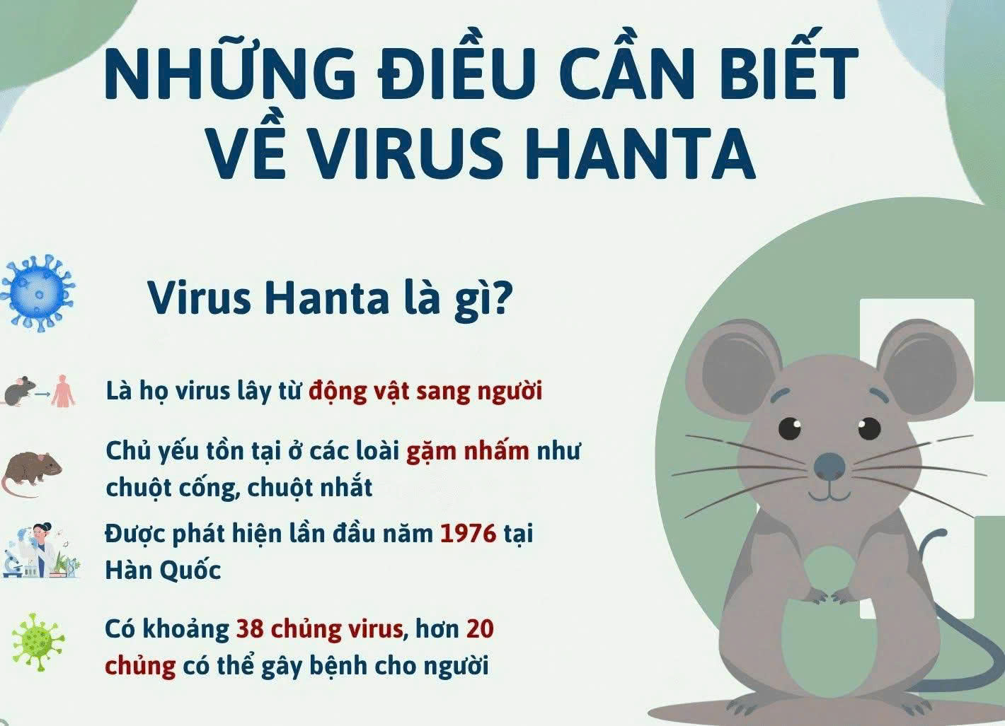 Khuyến cáo người dân chủ động phòng, chống bệnh do vi rút Hanta