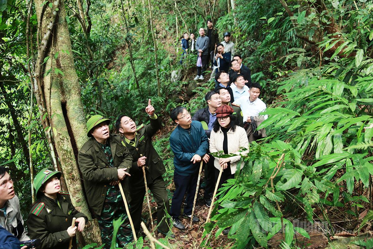 Phó Chủ tịch UBND tỉnh Hoàng Gia Long kiểm tra thực địa tại dự án đầu tư khai thác và chế biến quặng sắt mỏ Sàng Thần