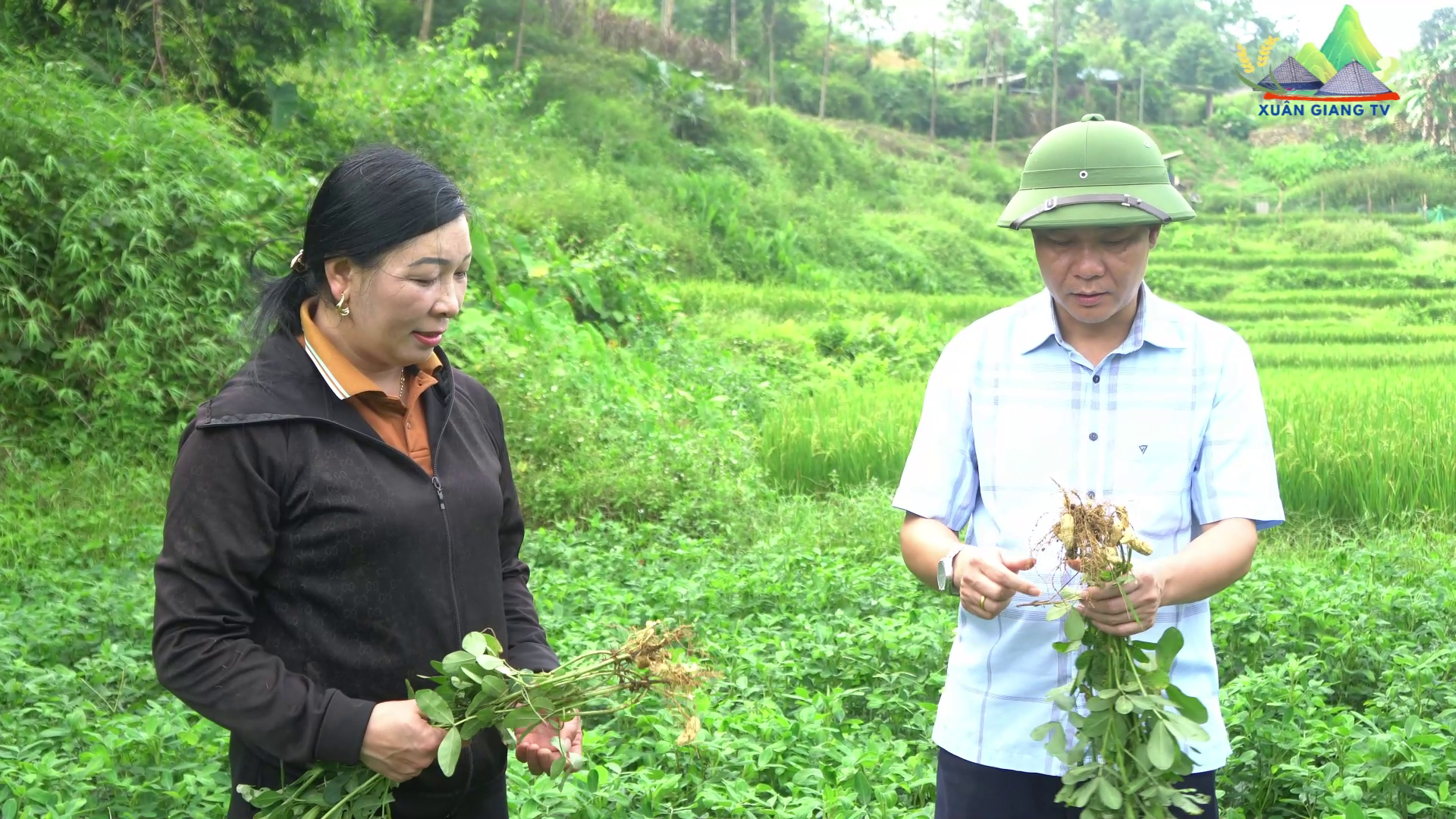 Đồng chí Trần Trung Thành, Bí thư Đảng ủy, Chủ tịch HĐND xã Xuân Giang kiểm tra mô hình trồng Lạc hoa và Lạc đen