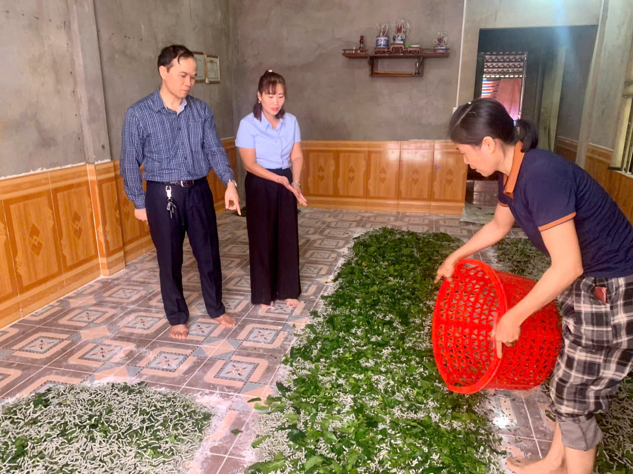 Đông Thọ: Kiểm tra mô hình trồng dâu, nuôi tằm – một trong những mô hình kinh tế chủ lực của địa phương