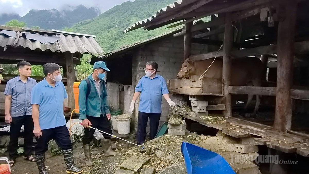 Chủ động phòng bệnh cho đàn vật nuôi