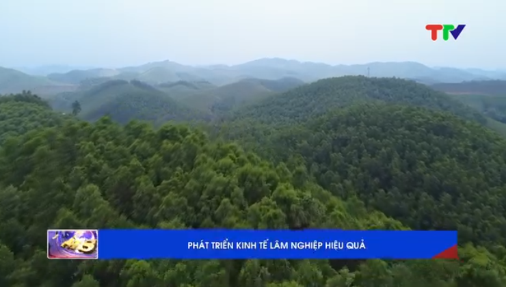 Phát triển kinh tế lâm nghiệp hiệu quả