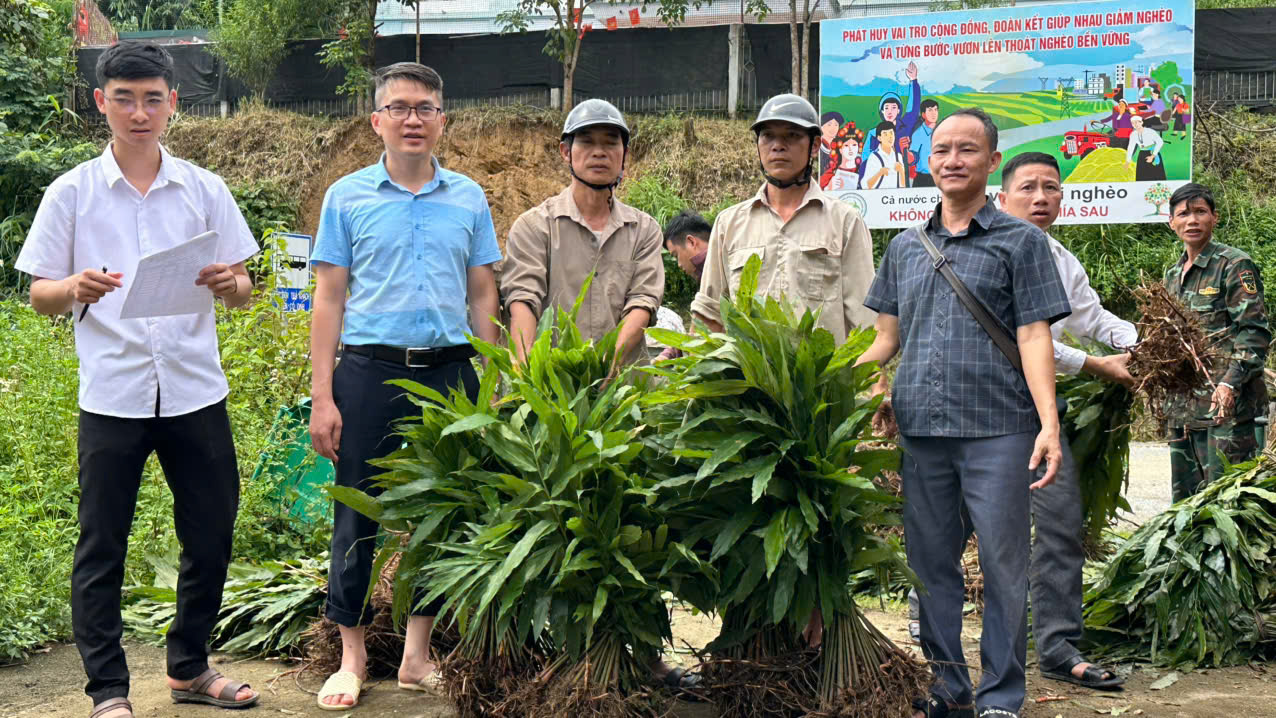  Thượng Nông triển khai Dự án hỗ trợ phát triển sản xuất cộng đồng trồng cây sa nhân tím