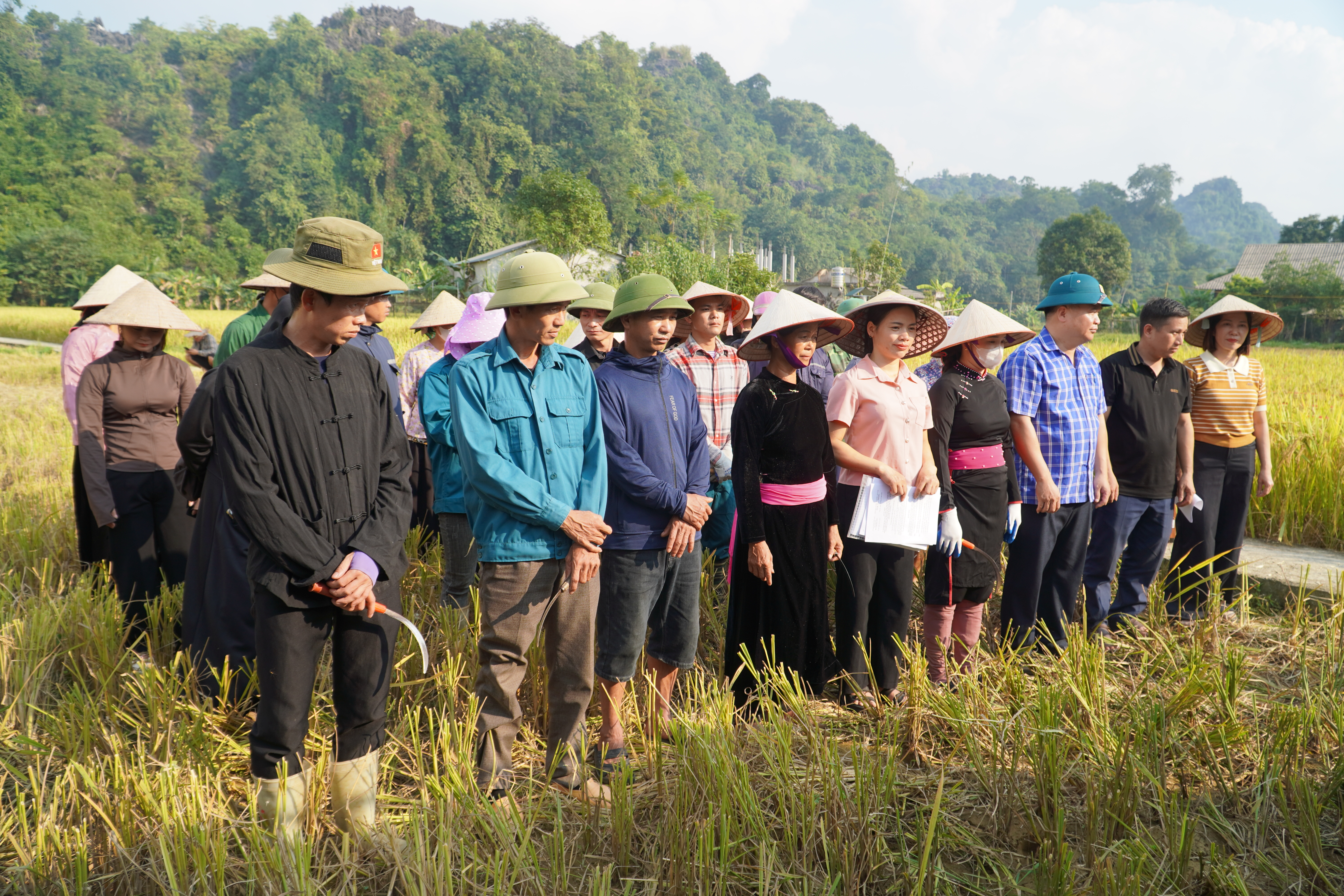 HỘI THI “GẶT LÚA” CHÀO MỪNG KỶ NIỆM NGÀY THÀNH LẬP HỘI NÔNG DÂN VIỆT NAM VÀ HỘI LIÊN HIỆP PHỤ NỮ VIỆT NAM
