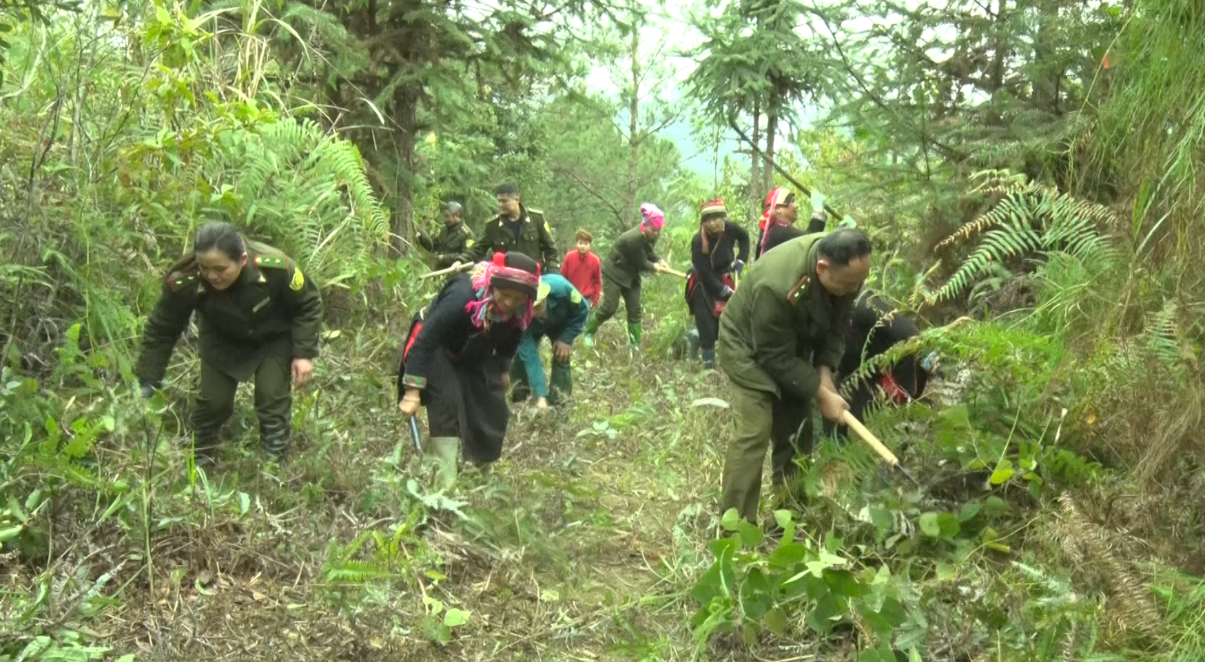 Phòng cháy chữa cháy rừng trong mùa khô hanh năm 2026