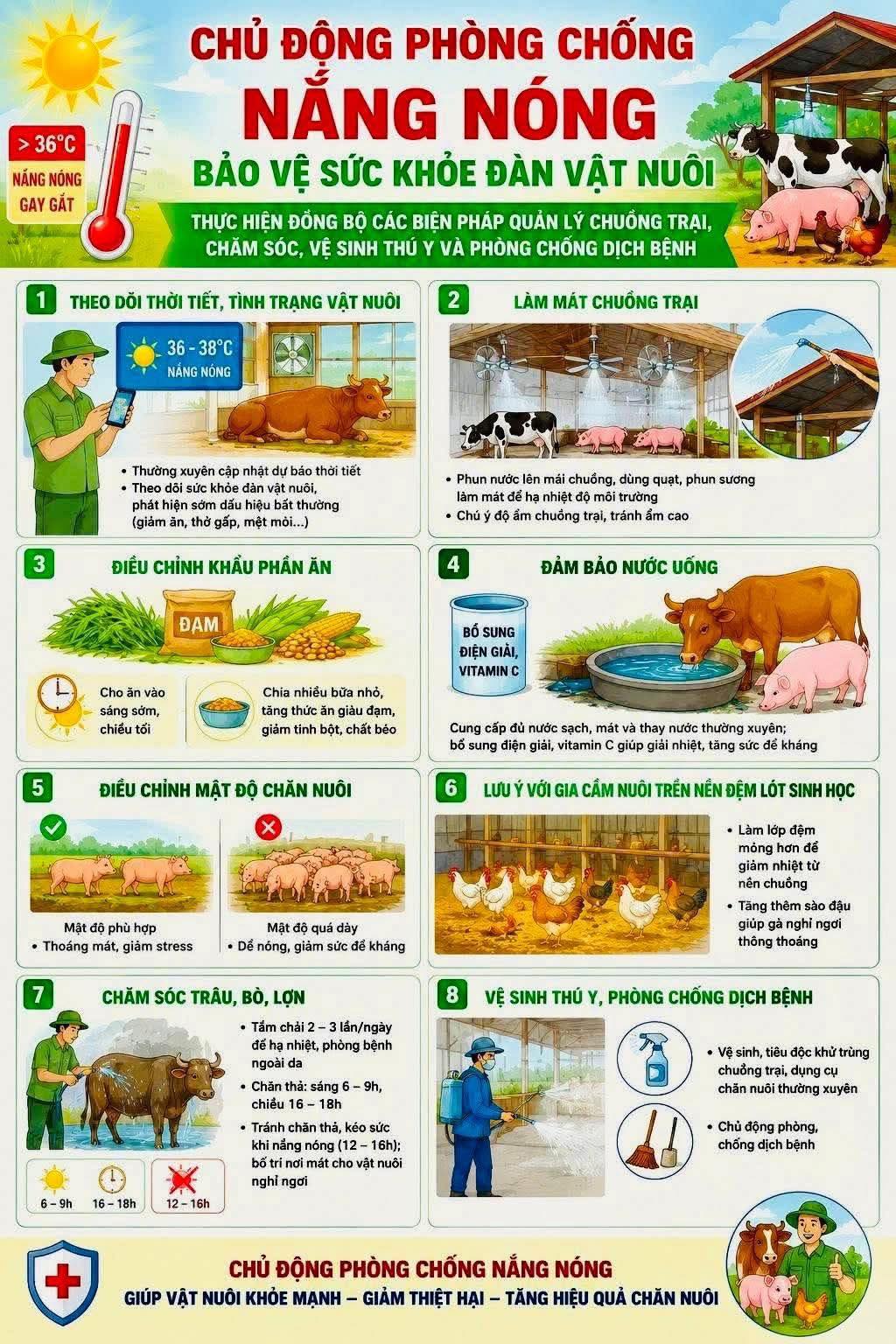 CHỦ ĐỘNG PHÒNG CHỐNG NẮNG NÓNG BẢO VỆ SỨC KHỎE ĐÀN VẬT NUÔI