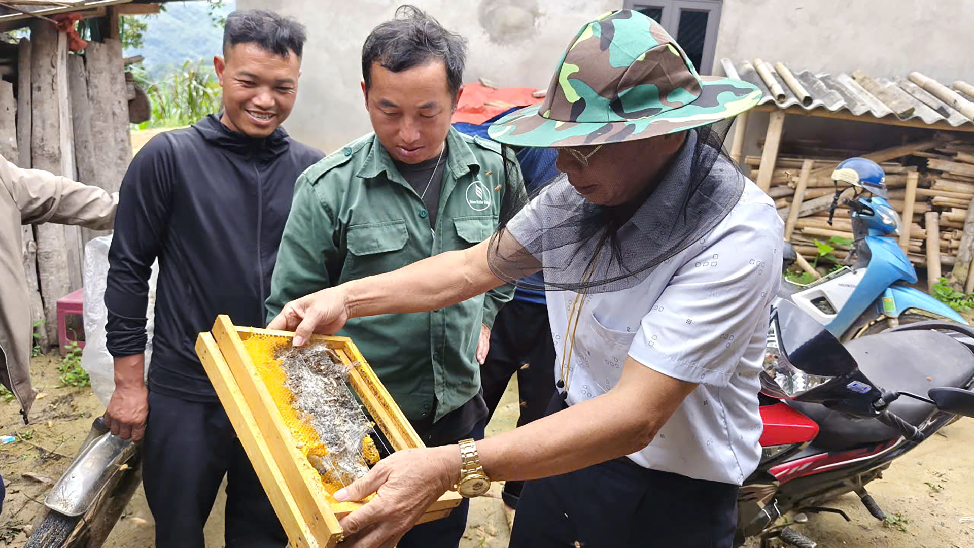 Tập huấn kỹ thuật nuôi ong tại thôn Xín Chải, xã Pà Vầy Sủ