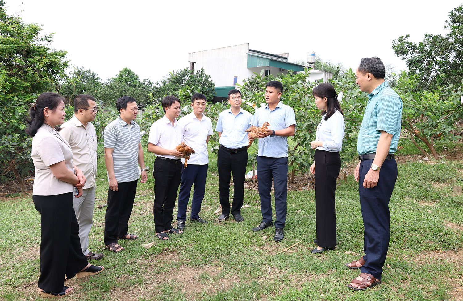 chan-nuoi-ga3.jpg