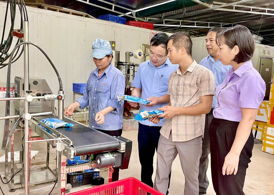 Khuyến công tạo đà cho công nghiệp nông thôn phát triển