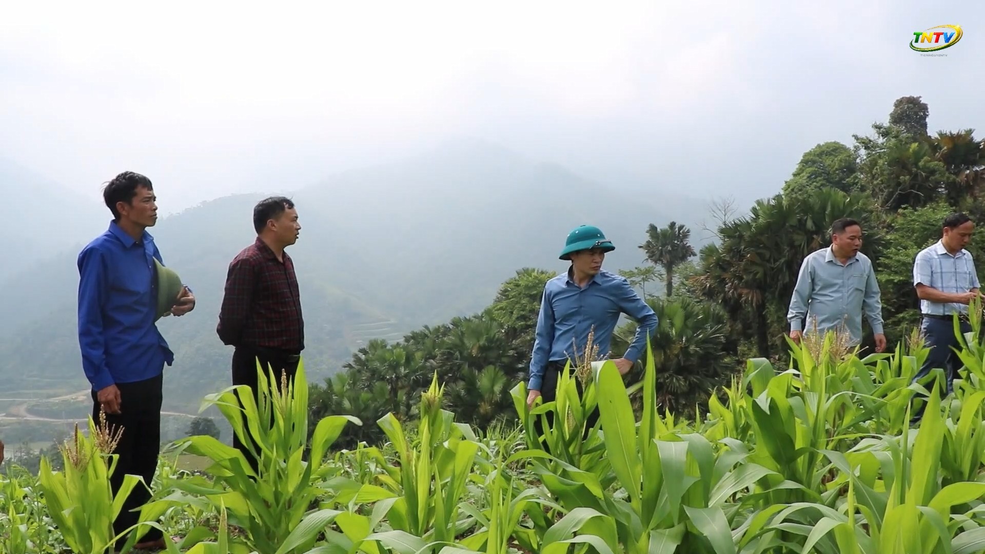 HĐND xã giám sát tình hình thực hiện chỉ tiêu nhà nước về phát triển kinh  tế - xã hội vụ đông xuân tại thôn Hạ Bình