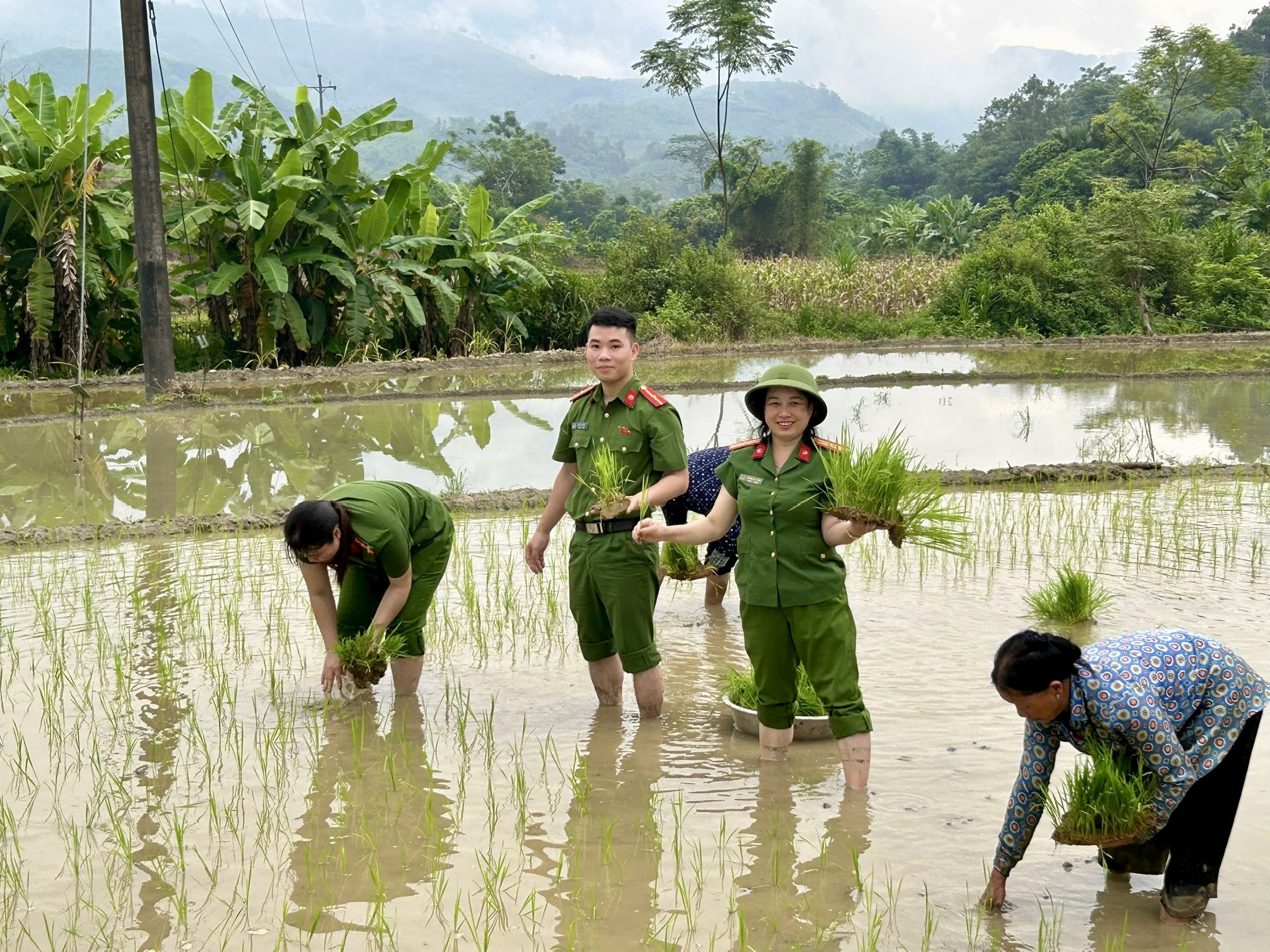 ÁNH SÁNG BÚA LIỀM GIỮ BÌNH YÊN BẢN LÀNG VÙNG CAO YÊN THÀNH