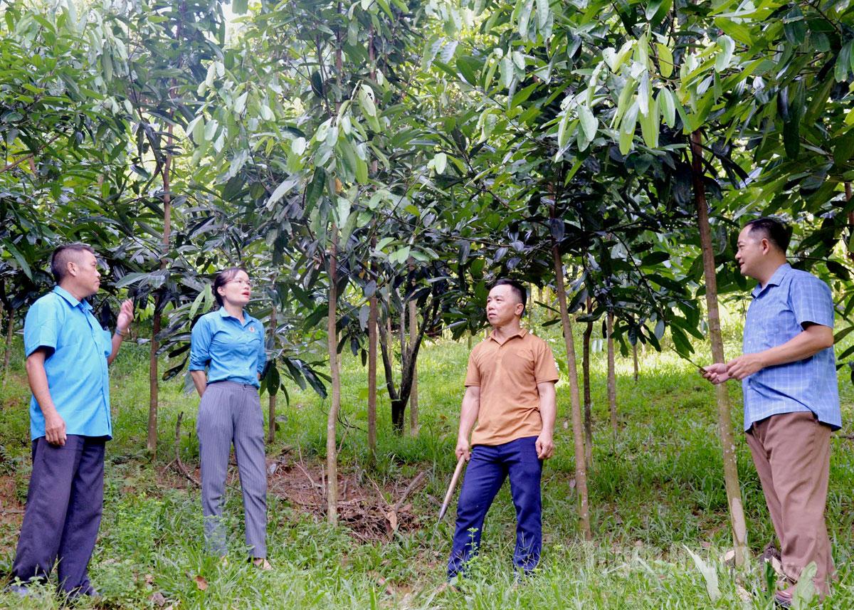 Trên 84.000 ha rừng được cấp chứng chỉ FSC
