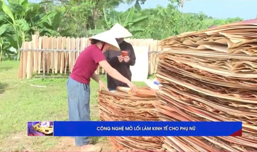 VIDEO: CÔNG NGHỆ MỞ LỐI LÀM KINH TẾ CHO PHỤ NỮ