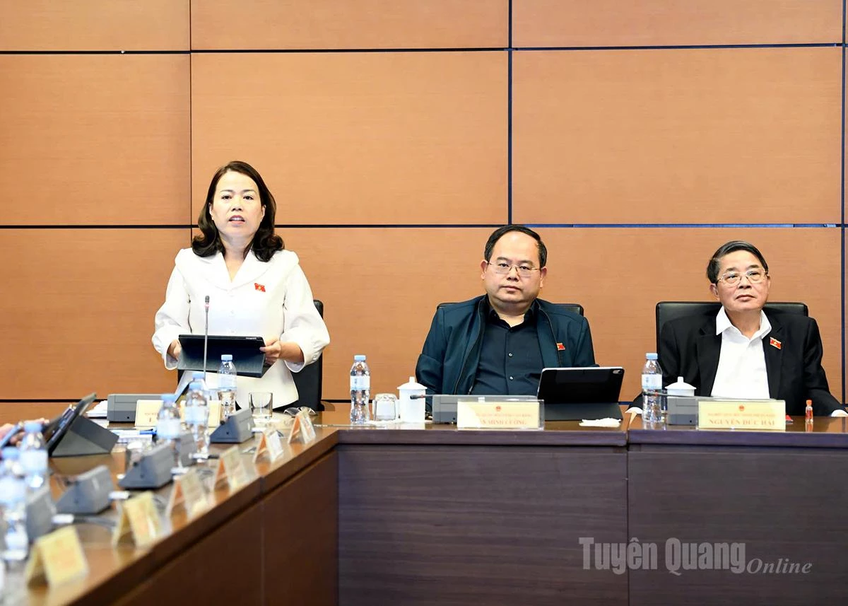 Đoàn đại biểu Quốc hội tỉnh góp ý dự án vào một số dự án luật