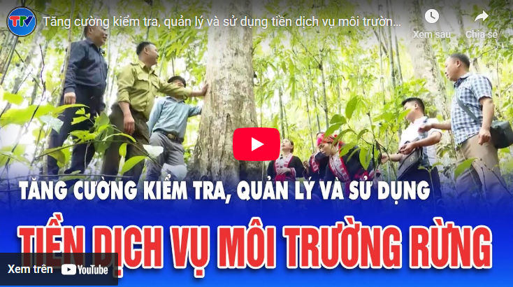 Tăng cường kiểm tra, quản lý và sử dụng tiền dịch vụ môi trường rừng