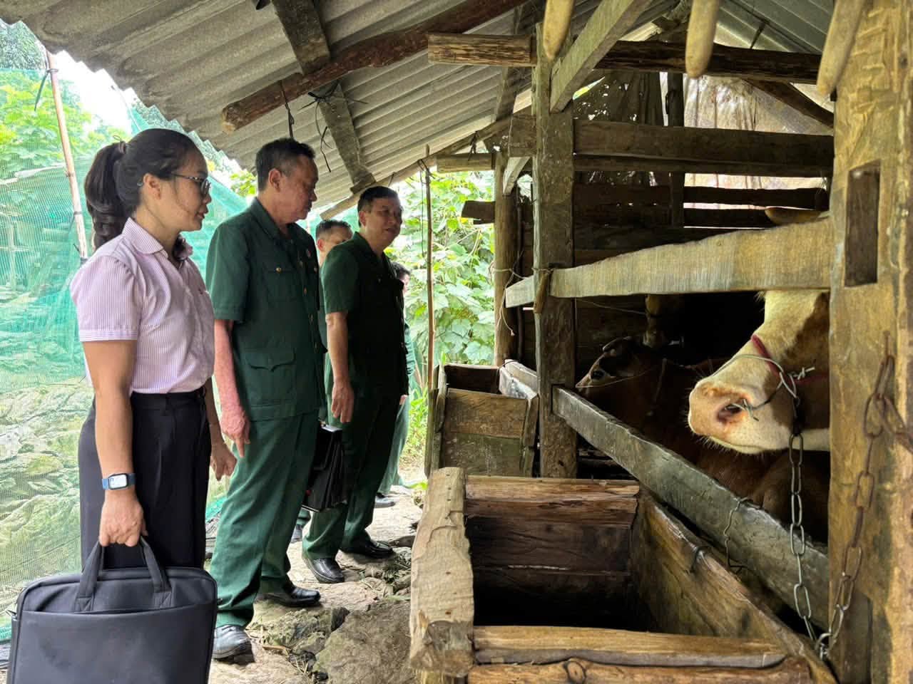 Hội Cựu chiến binh tỉnh Tuyên Quang kiểm tra công tác ủy thác nguồn vốn tín dụng chính sách tại Hội cựu chiến binh xã Nghĩa Thuận