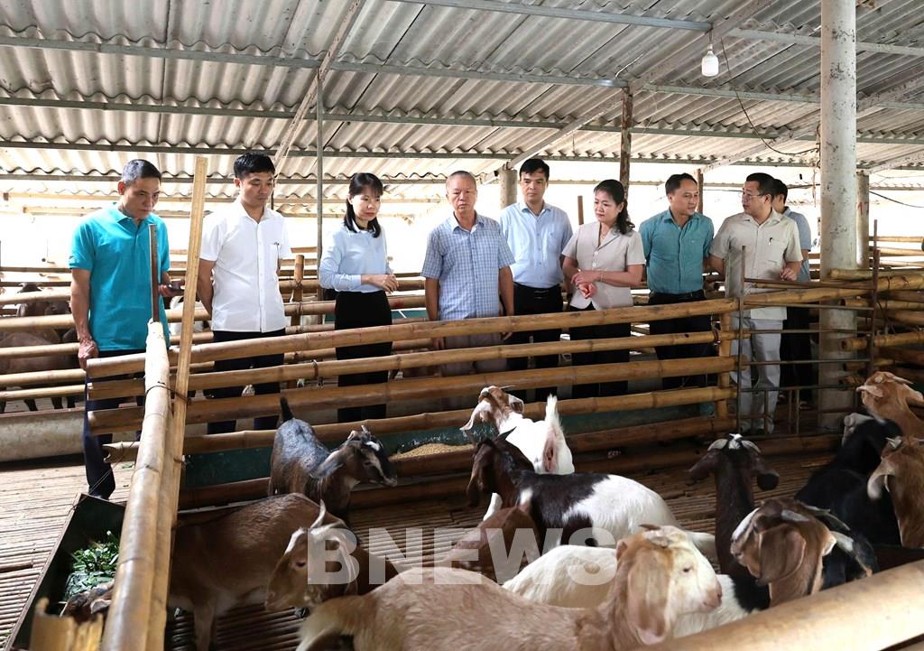 anh-4-20260916201539.jpg
