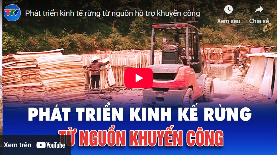 Phát triển kinh tế rừng từ nguồn hỗ trợ khuyến công