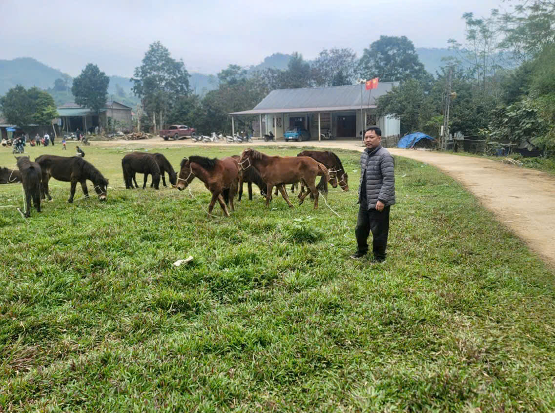 Kiên Đài bàn giao ngựa giống hỗ trợ sinh kế cho hộ nghèo