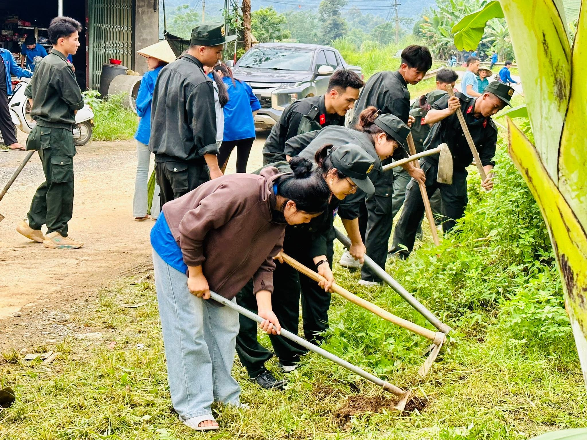 tn 7.jpg