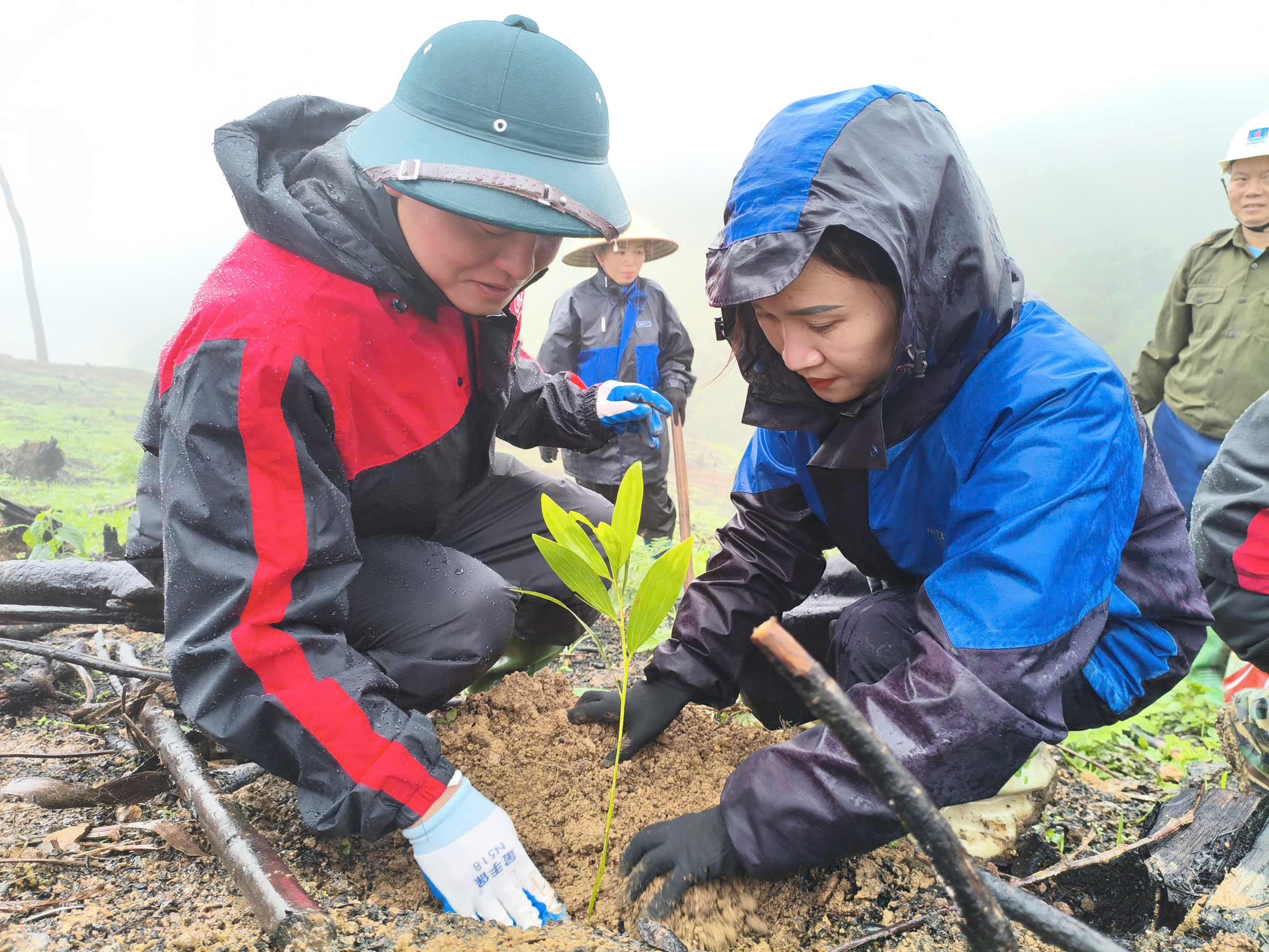 TÂN MỸ RỘN RÀNG KHÍ THẾ RA QUÂN TẾT TRỒNG CÂY