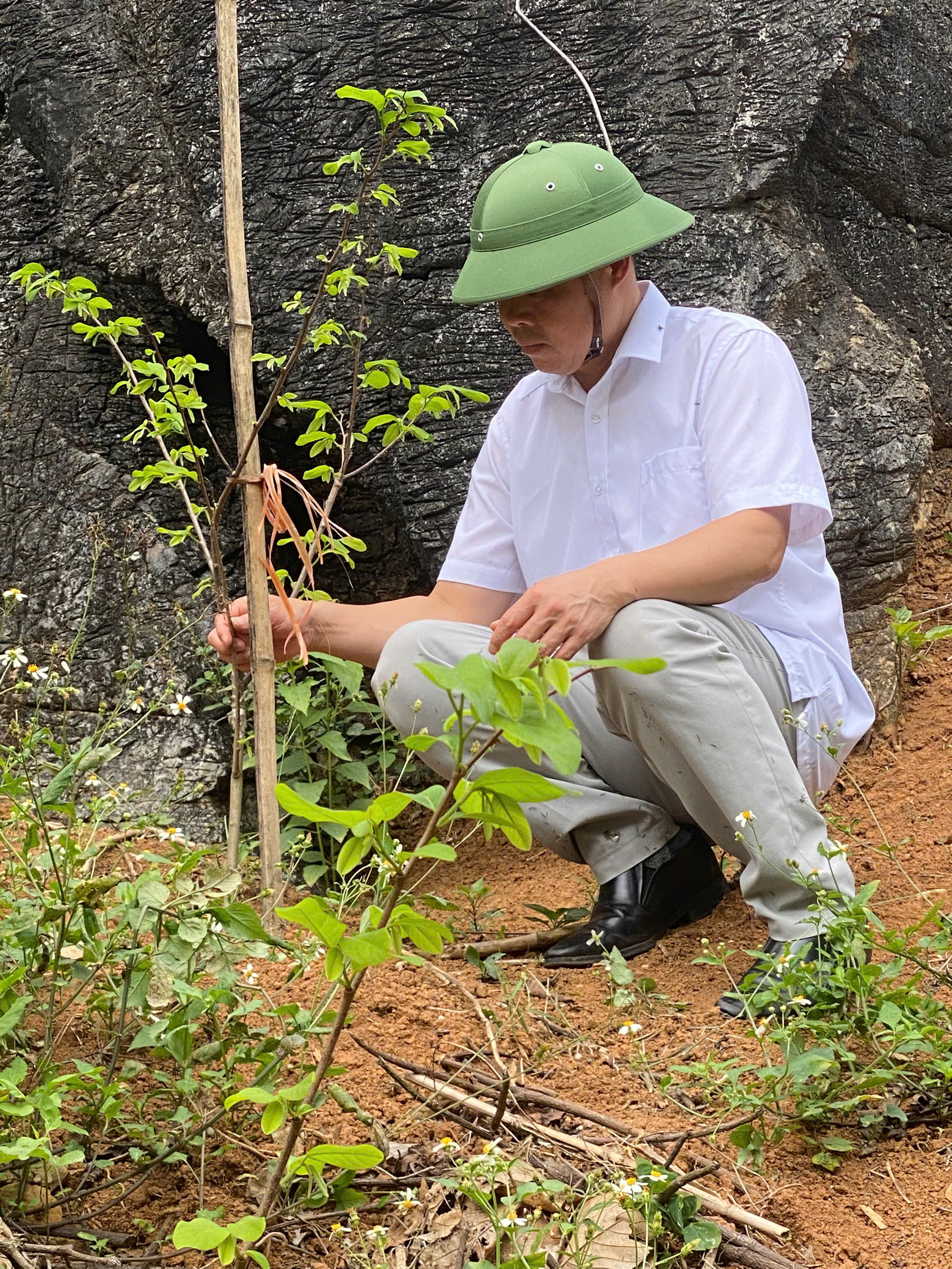 KIỂM TRA THỰC TẾ SINH TRƯỞNG VÀ PHÁT TRIỂN CÂY ĂN QUẢ VÀ CÂY NA