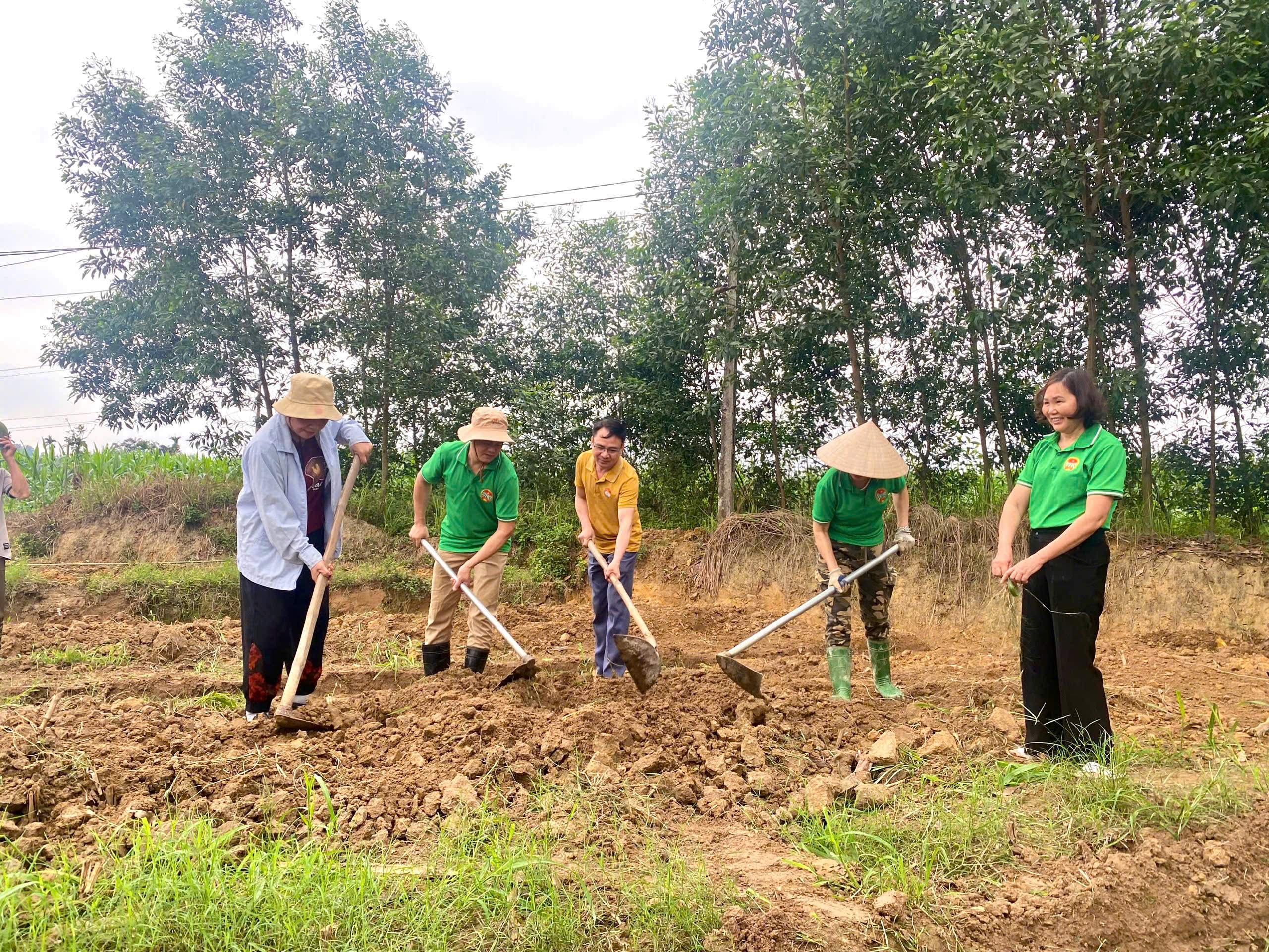 Phường Bình Thuận ra quân xây dựng mô hình trồng cây Gấc Lai Đen