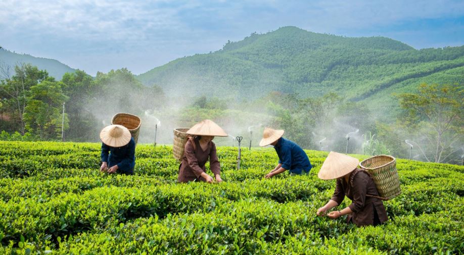 Thượng Sơn: Khơi thông “điểm nghẽn” hạ tầng, tạo đà phát triển kinh tế vùng cao