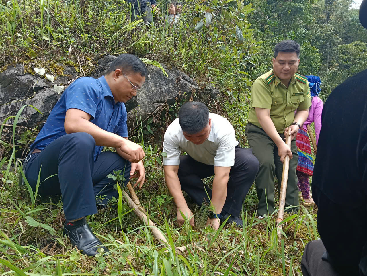 trồng cây 2.jpg