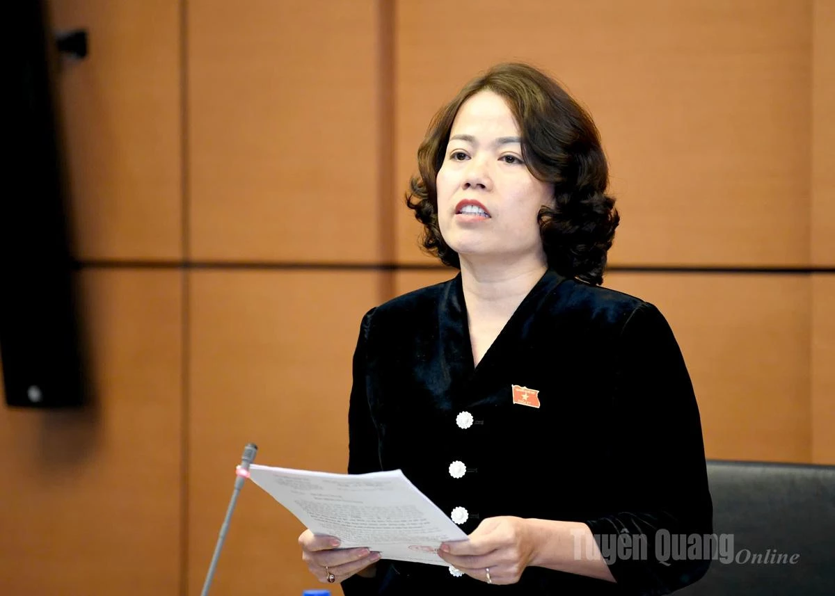 ĐBQH tỉnh góp ý Văn kiện Đại hội đại biểu toàn quốc lần thứ XIV của Đảng