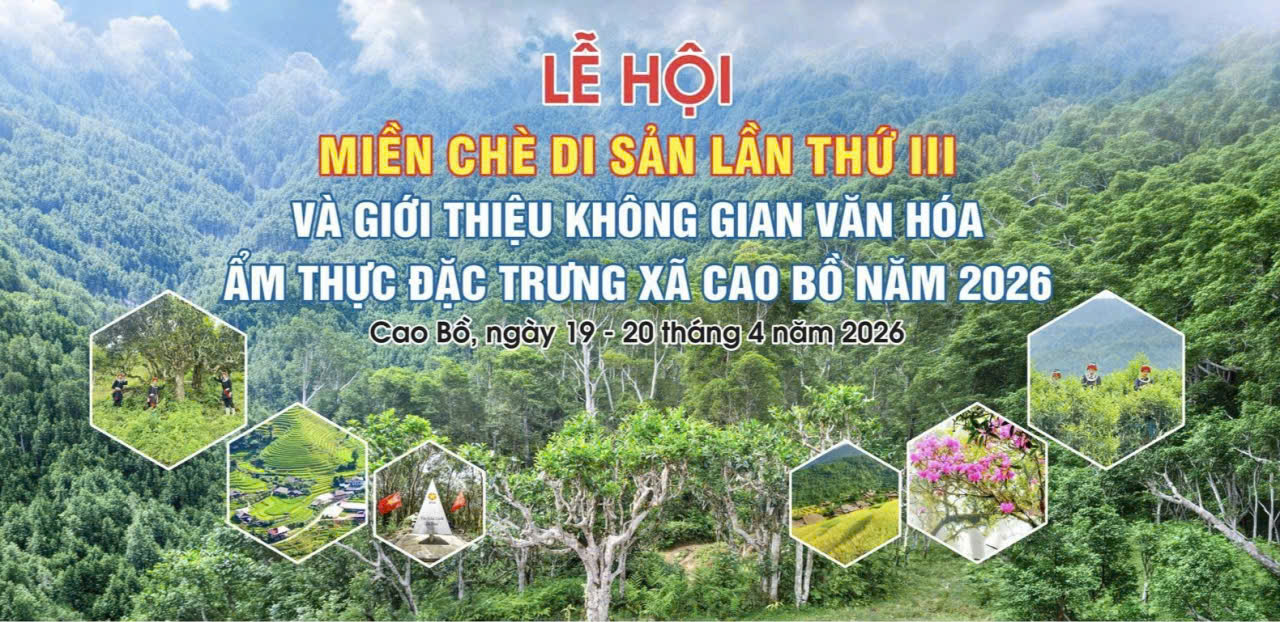 Lễ hội Miền Chè Di sản Cao Bồ năm 2026
