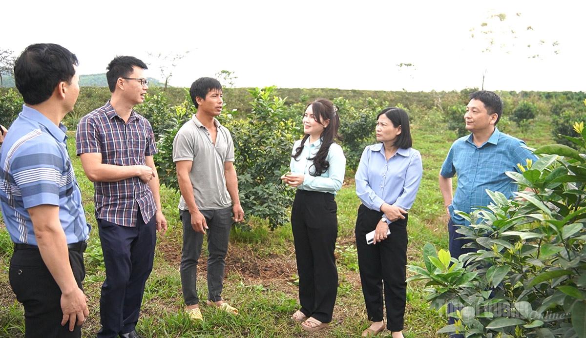 Bài cuối: Để tấc đất là tấc vàng