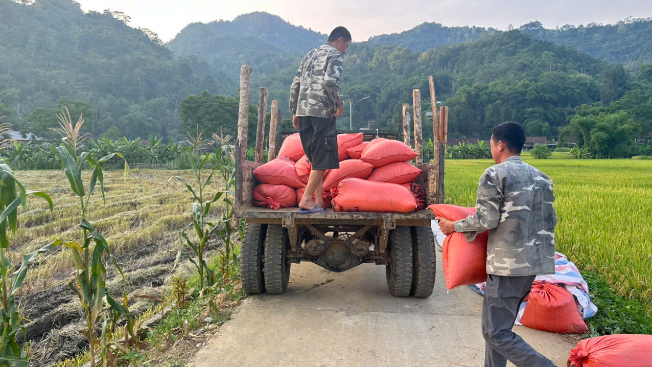 gạt 30.jpg