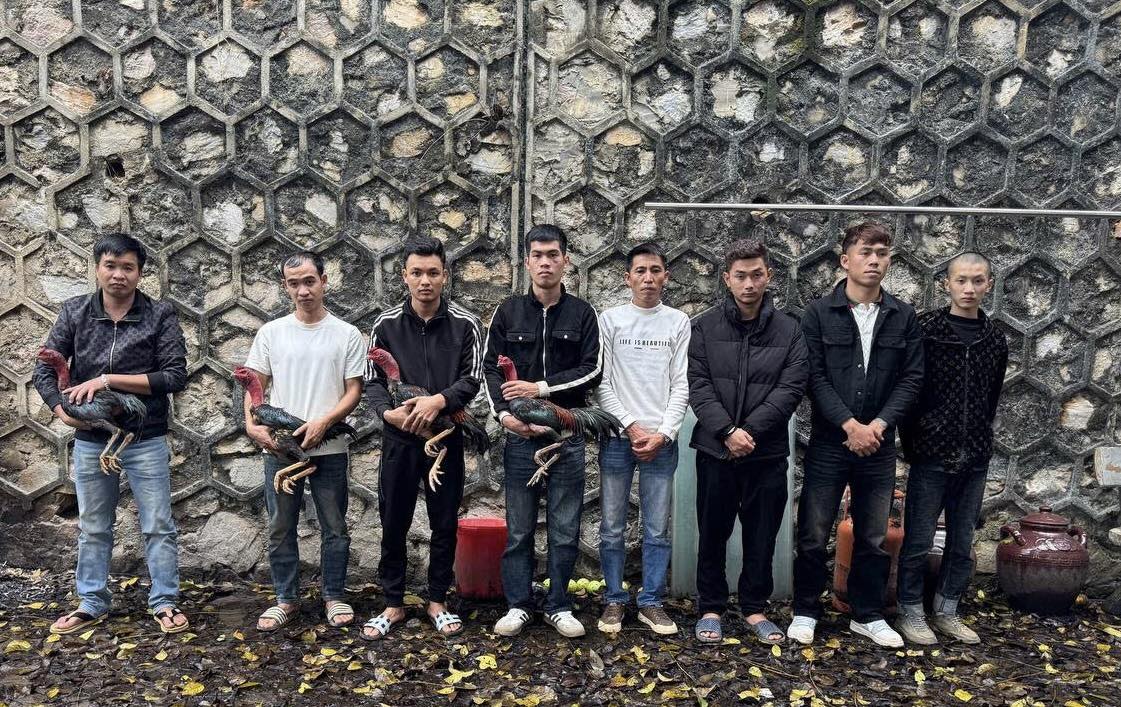 GIỮ AN TOÀN, LÀNH MẠNH CÁC LỄ HỘI ĐẦU NĂM