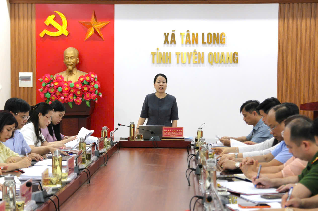Đoàn kiểm tra, giám sát của Ban Thường vụ Tỉnh ủy làm việc tại xã Tân Long