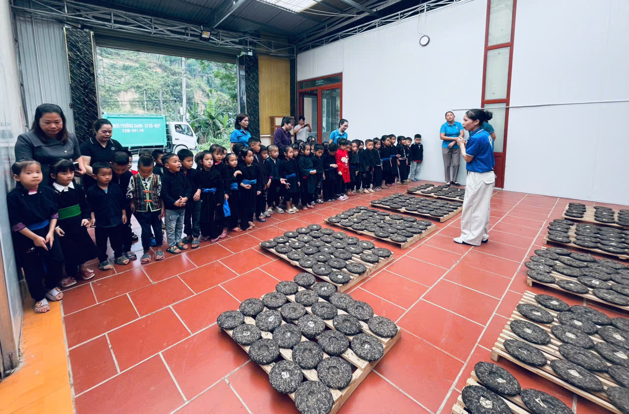 Hành trình trải nghiệm – Những bài học nhỏ, niềm vui lớn của các bé 5 tuổi 