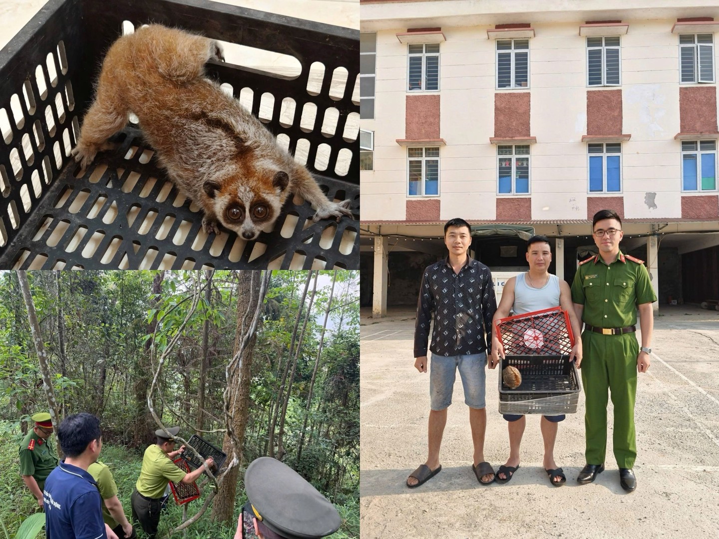 ĐẨY MẠNH CÔNG TÁC TUYÊN TRUYỀN, VẬN ĐỘNG NHÂN DÂN BẢO VỆ ĐỘNG VẬT HOANG DÃ, CHIM DI CƯ VÀ NGUỒN LỢI THỦY SẢN