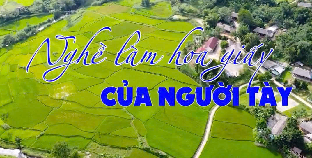 fc01310005e0abef852ff471451df809