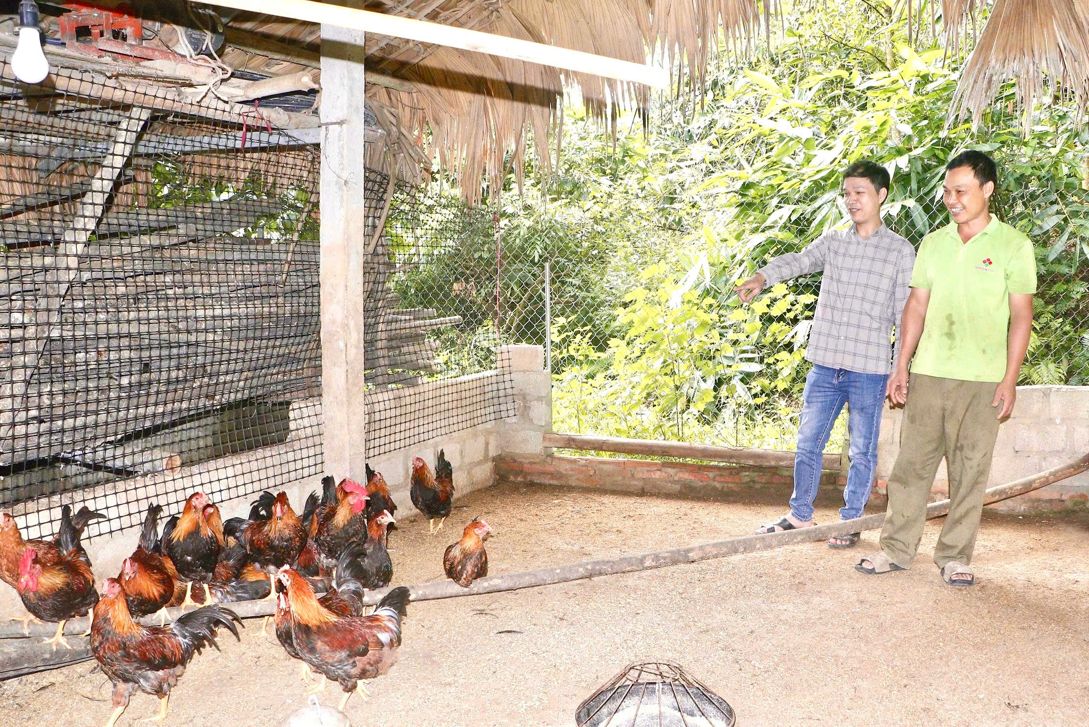 Thái Sơn đẩy mạnh chuyển đổi cơ cấu vật nuôi, mở hướng làm giàu bền vững cho người dân
